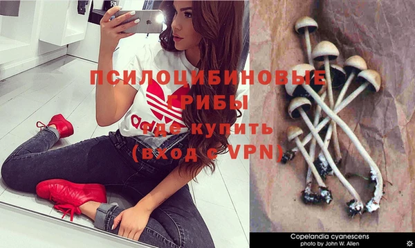 дмт Балабаново